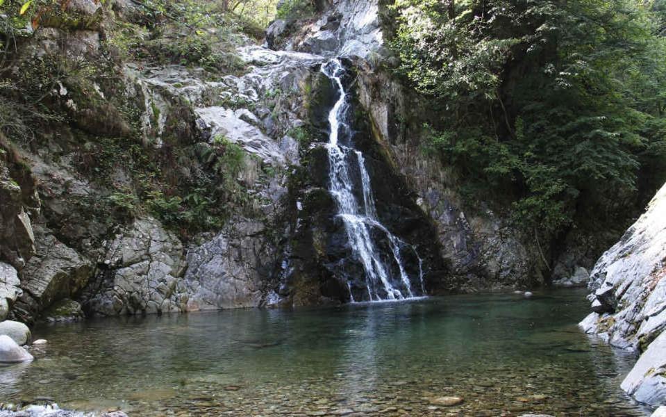 B&B Villa Tavallini Pollone Bagian luar foto